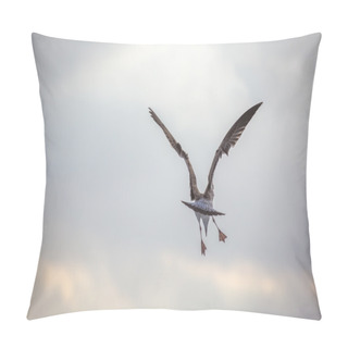 Personality  Flying Seagull Over The Blue Sea Pillow Covers