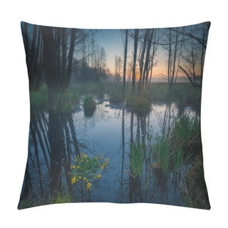 Personality  Sunrise Over Foggy Wetlands Pillow Covers
