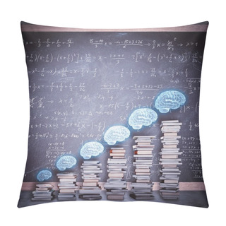 Personality  School Books With Brains Above Pillow Covers