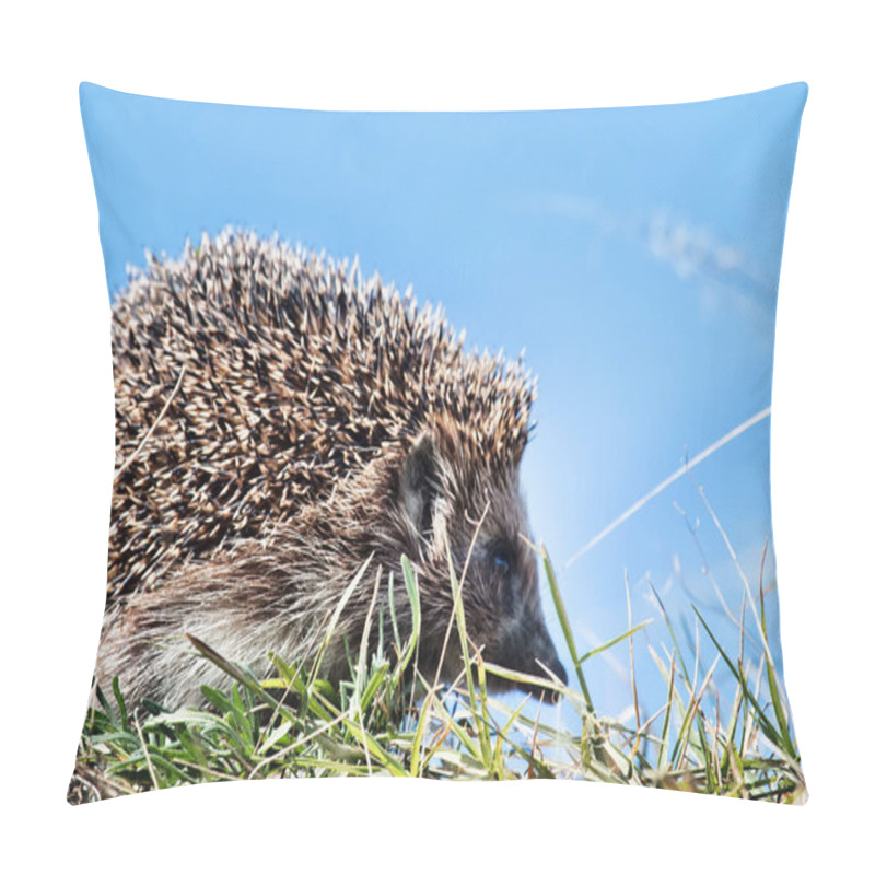 Personality  Hedgehog in the spring grass pillow covers