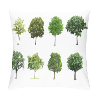 Personality  Tree Set Isolated On White Background. Pillow Covers