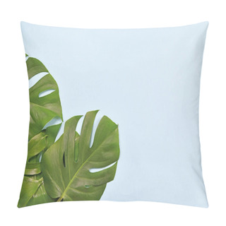 Personality  Tropical Leaves Of 'Monstera Deliciosa' At Bottom Of Blue Background With Empty Copy Space Pillow Covers