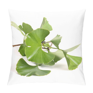 Personality  Ginkgo Biloba Leaves Pillow Covers