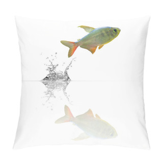 Personality  Small Fish With Reflection Pillow Covers