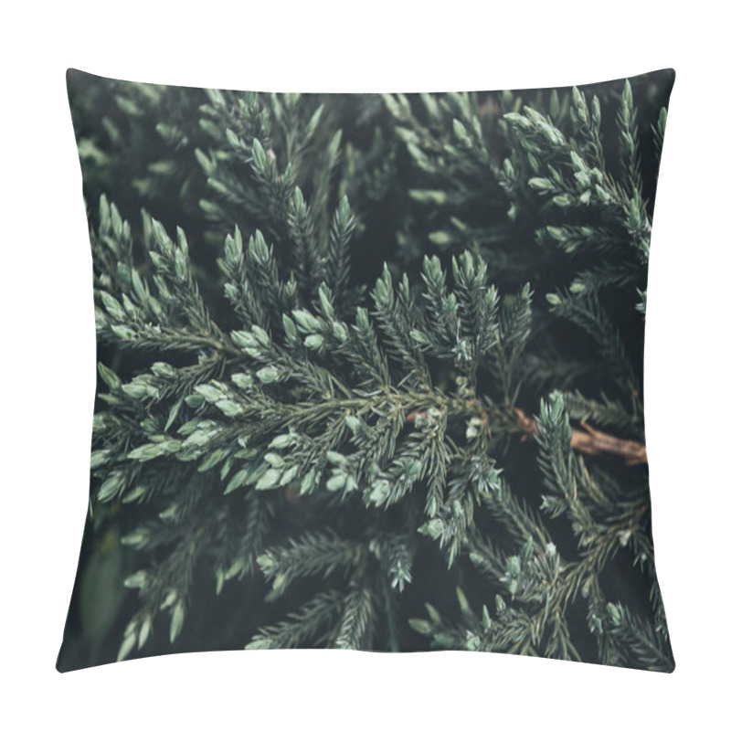 Personality  closeup shot of fir tree branches in spring pillow covers