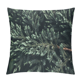 Personality  Closeup Shot Of Fir Tree Branches In Spring Pillow Covers