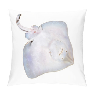 Personality  Fresh Ray Fish Isolated On White Background Pillow Covers