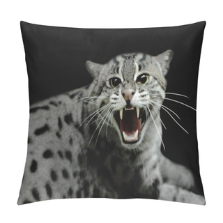 Personality  Hissing Tiger Cat Pillow Covers