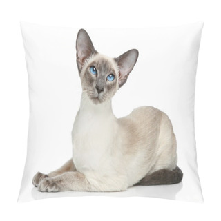 Personality  Oriental Blue-point Siamese Cat Pillow Covers