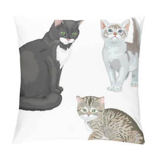 Personality  Cats Pillow Covers