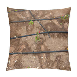 Personality  Flowers And The Automatic Irrigation System With Plastic Pipes Pillow Covers