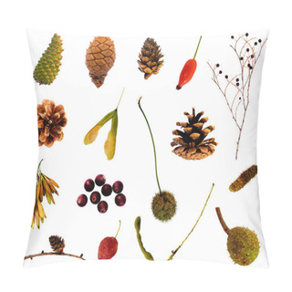 Personality  Autumn Fruits And Berries From Various Plants Isolated On White Background. Decorative Design Element. Pillow Covers