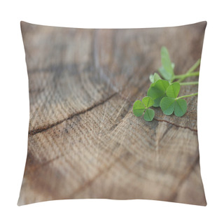 Personality  Green Plants Of Clover Of Wooden Stump Background  Pillow Covers