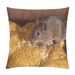 Personality  Mouse In The Kitchen Pillow Covers