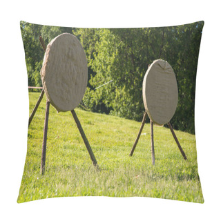 Personality  Two Aims In The Field. Arrows Hit Target, Successful Concept. Pillow Covers