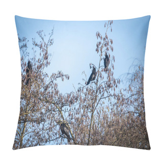 Personality  This Image Captures The Stark Beauty Of Winter With Several Crows Perched In The Bare Branches Of A Tree. The Trees Intricate Branch Pattern Creates A Natural Lattice Against The Clear Blue Sky Pillow Covers