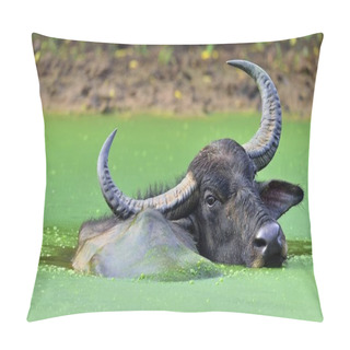 Personality  Water Buffalo Bathing In Pond Pillow Covers