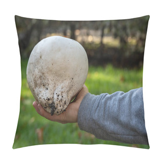 Personality  Calvatia Gigantea, Commonly Known As The Giant Puffball Mushroom Displayed In Hand, Selective Focus Pillow Covers