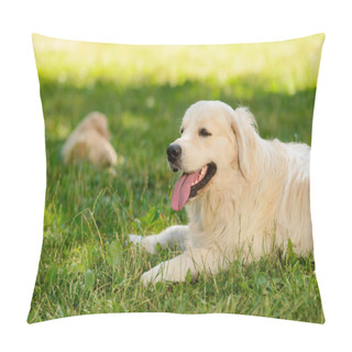 Personality  Golden Retriever On Grass Pillow Covers