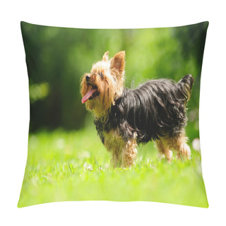 Personality  Yorkshire Terrier Dog Sticking Its Tongue Out Pillow Covers