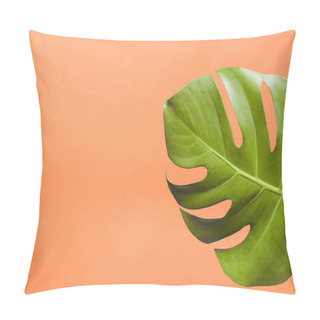 Personality  Fresh Green Exotic Monstera Leaf On Orange Background Pillow Covers