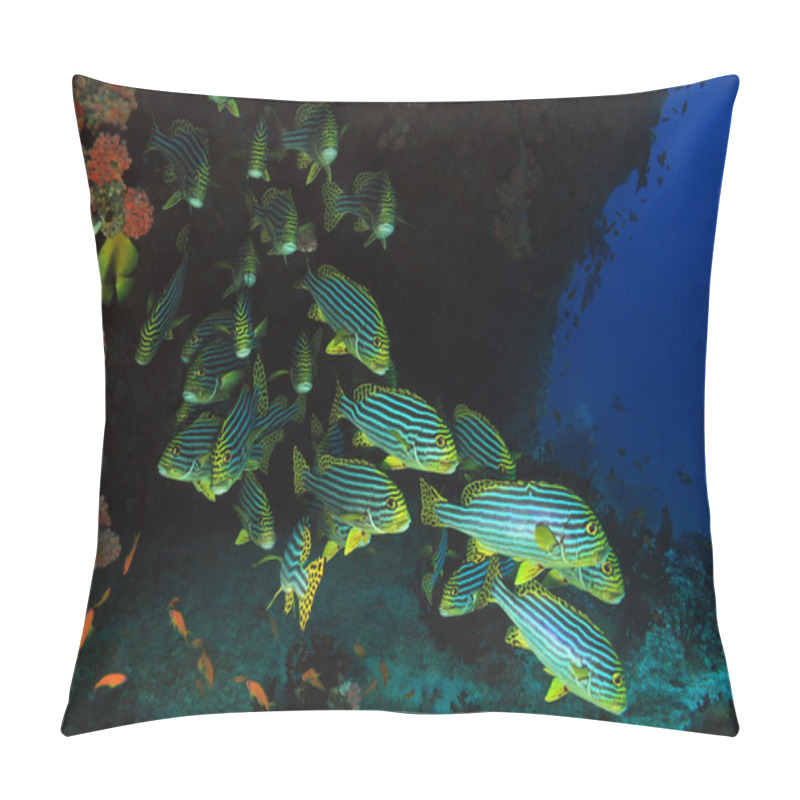 Personality  School Of Fish Pillow Covers