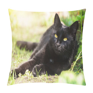 Personality  Beautiful Bombay Black Cat Portrait With Yellow Eyes And Attentive Look Lies In Spring Garden In Sunlight Pillow Covers