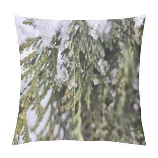 Personality  A Detailed Close-up Image Captures The Intricate Beauty Of Snowflakes Resting On The Green Needles Of A Pine Branch, Highlighting A Serene Winter Scene. Pillow Covers