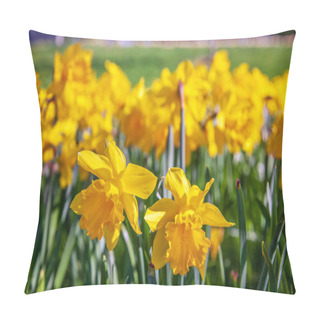 Personality  Close Up View Of Beautiful Yellow Narcissus Flowers Pillow Covers