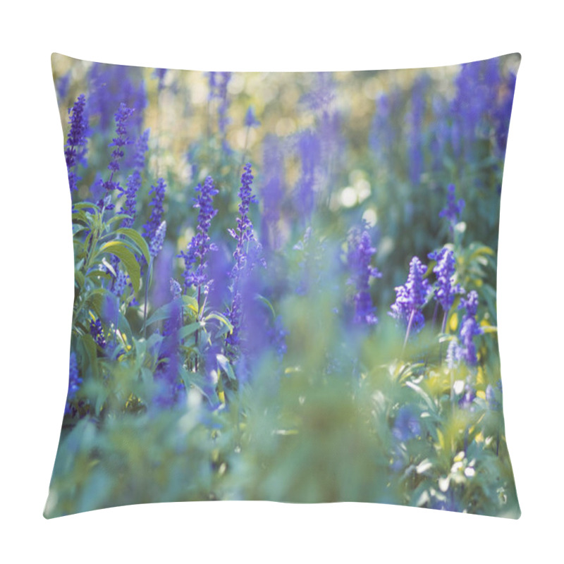 Personality  Blue wildflowers on the flower bed, low depth of focus. Summer floral background pillow covers