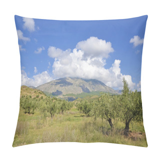 Personality  Olive Groves In Jaen And Sierra Magina, Andalucia Pillow Covers