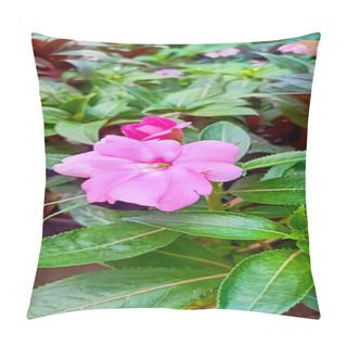 Personality  Beautiful Pink Impatiens Flowers Blooming In The Garden  Pillow Covers