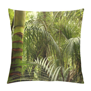 Personality  Tropical Jungle Pillow Covers