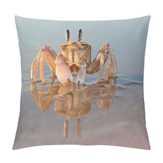 Personality  Ghost Crab On Beach Pillow Covers