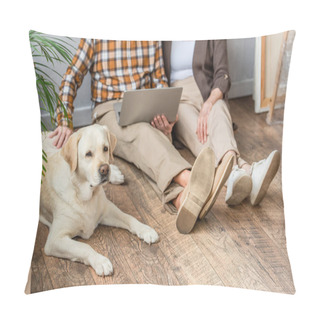Personality  Cropped View Of Senior Couple Using Laptop Sitting On Floor And Husband Petting Dog Lying Near Pillow Covers