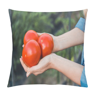 Personality  Cropped Image Of Farmer Holding Ripe Organic Tomatoes In Hands In Field At Farm Pillow Covers