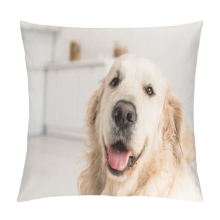 Personality  Funny, Adorable, Cute Golden Retriever Looking At Camera  Pillow Covers