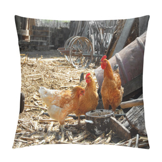 Personality  Hens In Rustic Farm Yard Pillow Covers