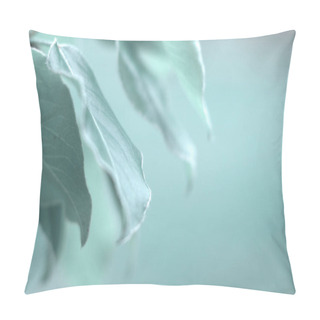 Personality  Beautiful Background Of Leaves With Soft Focus With Copy Space For Your Text In Gentle Tiffany Blue Colors Pillow Covers