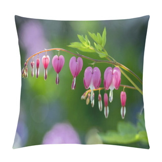 Personality  Dicentra Spectabilis Pink Bleeding Hearts On The Branch, Flowering Plant In Springtime Garden, Romantic Scene With Sunlight Reflections On Background Pillow Covers