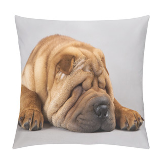 Personality  Shar-pei Pillow Covers