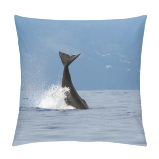 Personality  The Sperm Whale (Physeter Macrocephalus) Or Cachalot, Sperm Whale Tail Pillow Covers