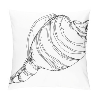 Personality  Summer Beach Seashell Tropical Elements. Black And White Engraved Ink Art. Isolated Shells Illustration Element. Pillow Covers