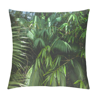 Personality  Close Up View Of Beautiful Palms With Green Leaves Pillow Covers