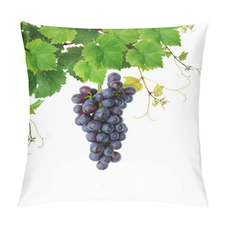 Personality  Grapevine With Blue Grape Cluster Pillow Covers