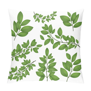 Personality  Isolated Tree Branches With Green Leaves. Detailed Botanical Vector Illustration Pillow Covers