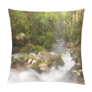 Personality  Great Smoky Mountains Pillow Covers