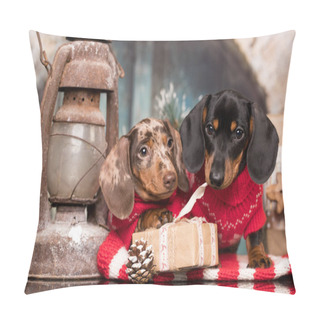 Personality  Puppy Christmas Dog Dachshund, New Year's Puppy Pillow Covers
