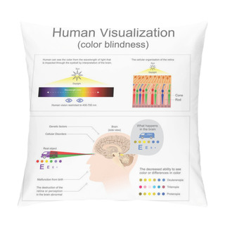 Personality  Human Visualization Color Blindness. Pillow Covers