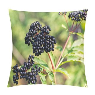 Personality  Forest Black Elderberry, Shrub With Berries Pillow Covers